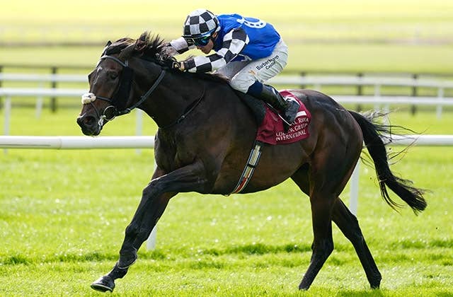 アルリファーが愛セントレジャー圧勝、メルボルンC制覇へ前進 | JRA