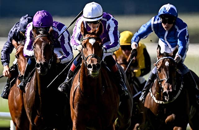 愛2歳G1モイグレアスタッドS、プリサイスが評判馬たちを撃破 | JRA-VAN