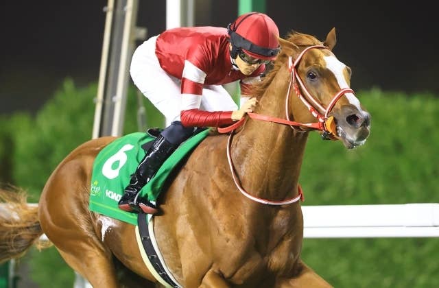 シンエンペラーが凱旋門賞を回避、海外メディアも報じる | JRA-VAN