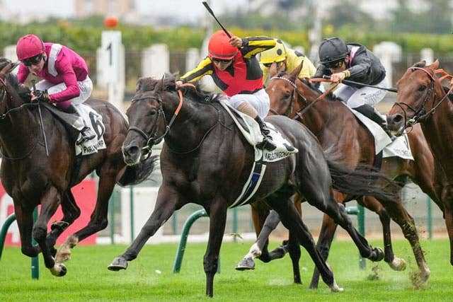 凱旋門賞】「想定馬」日本馬はクロワデュノール、ビザンチンドリーム