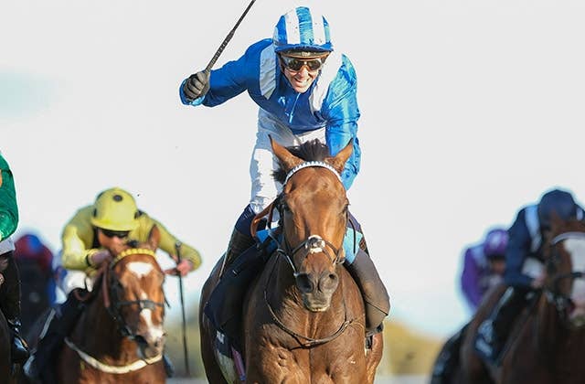 英チャンピオンS連覇かかるアンマート、陣営は重馬場の再現期待 | JRA