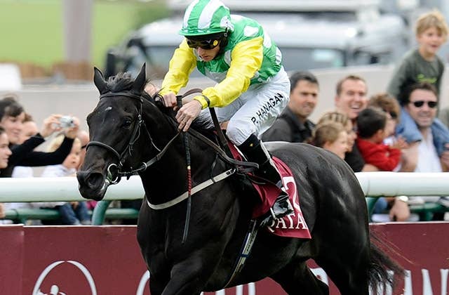 クールモアの人気種牡馬ウートンバセットが17歳で急死 シャトル先の