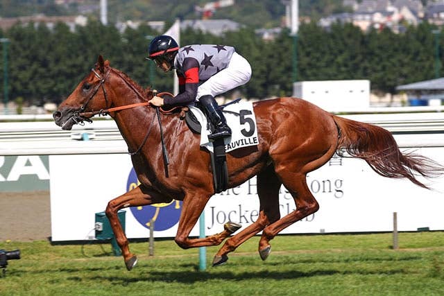 凱旋門賞】「準備は順調に進んでいる」オルフェーヴルと同じ芝で