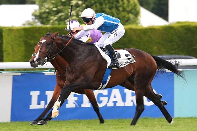 凱旋門賞】最多8勝ファーブル厩舎はソジー、クアリフィカー