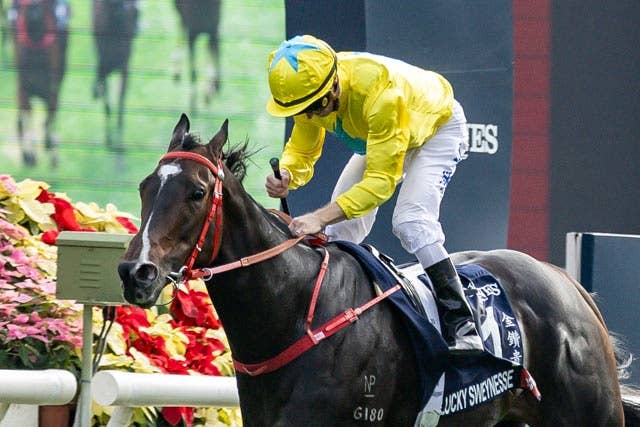 カーインライジング 香港S S ぬいぐるみ キーチェーン 香港国際 日本未