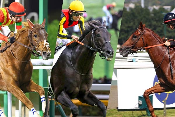 モンジュー（Montjeu） | 競馬データベース | JRA-VAN World