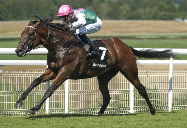 リードアーティストが種牡馬入り、母系はジャドモント屈指の良血 | JRA