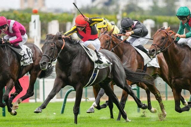 JRA 阪神競馬場　クロワデュノール　イクイノックス　ディープインパクト　帯封 キタサンブラック産駒の超新星にX衝撃 新馬戦の破格ラップに
