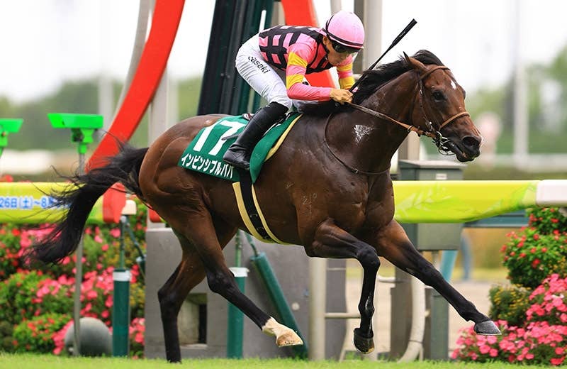 2025年 BCカップ 競馬公式プログラム パンフレット 2025ブリーダーズ