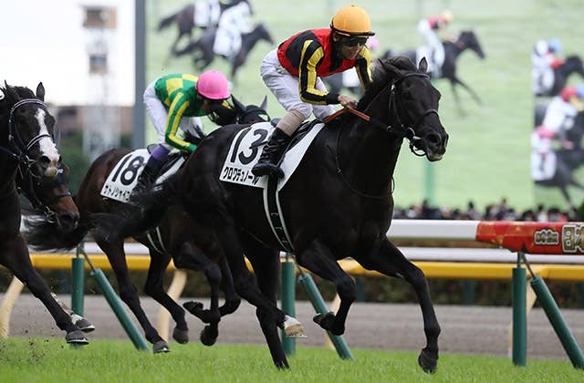 これぐらい美品だと持っていても気持ちが良いですね ナショナル