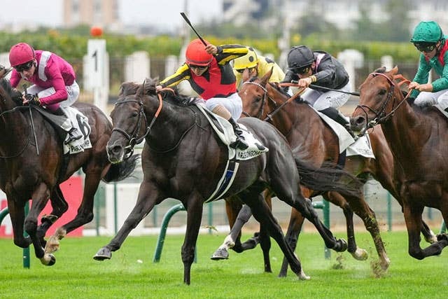 凱旋門賞】「最も美しい馬だ」現地記者の賛辞にクロワデュノールの斉藤