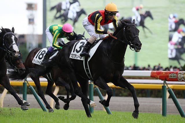 競馬ファンの方、海外レース、優勝馬 競馬ファンの方、海外レース、優勝馬 Prix de l'Arc de Triomphe