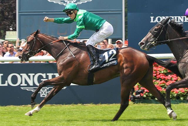 【非売品】女王陛下のお楽しみ (エリザベス女王・海外競馬・馬主) 世界の馬主紹介 Vol.4】エリザベス女王 | JRA-VAN World - 海外競馬
