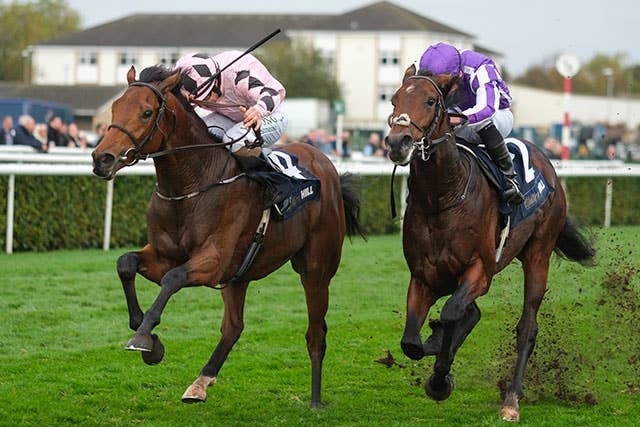 競馬ファンの方、海外レース、優勝馬 凱旋門賞】低評価も「気にしません。だって馬はオッズを知らないから