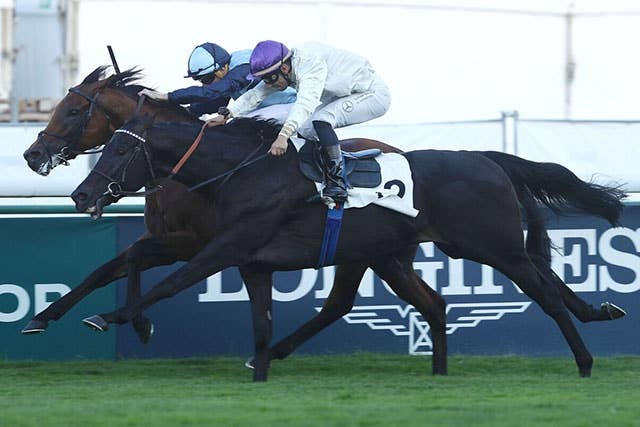 競馬ファンの方、海外レース、優勝馬 52HZGIQZLFIQ3PD6TD74IQXPNI.jpg