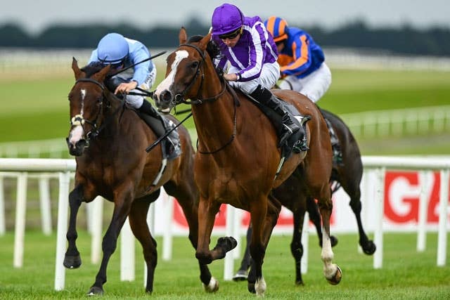 凱旋門賞】「危険な人気馬」オブライエン厩舎の「3歳牝馬はすべて馬券