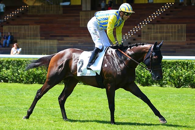 凱旋門賞】快挙への期待と「全人馬の無事」を願う日本の競馬ファン