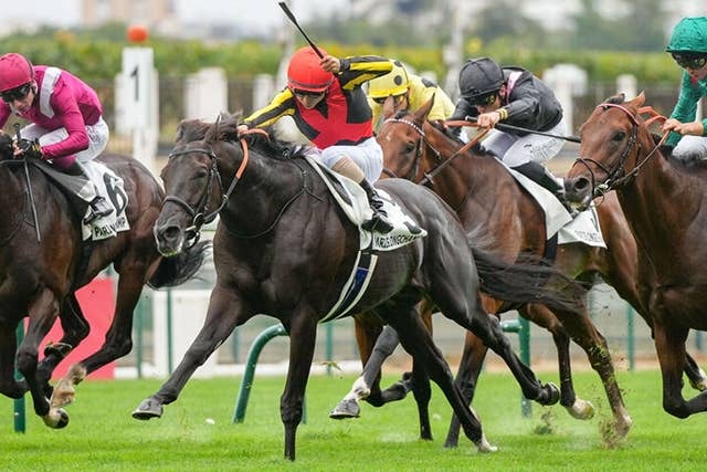 希少　レア　 凱旋門賞の歴史　第Ⅱ巻 1952〜1964　競馬　フランス 凱旋門賞】今年こそ日本競馬の悲願成就へ“三本の矢”で夢のタイトル射