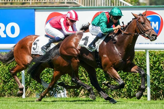 競馬ファンの方、海外レース、優勝馬 凱旋門賞】「日本馬が勝つのを願っていますが…」3頭出しで挑む親日家