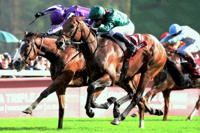 2025凱旋門賞 | JRA-VAN World - 海外競馬情報サイト