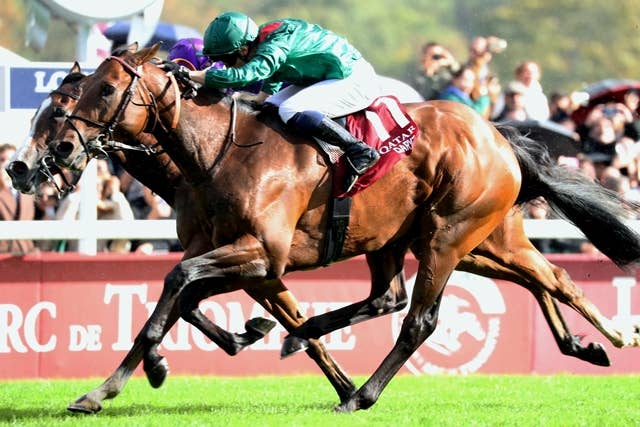 計画どおり凱旋門賞制覇のダリズ、「あの敗北が今日の勝利に繋がった