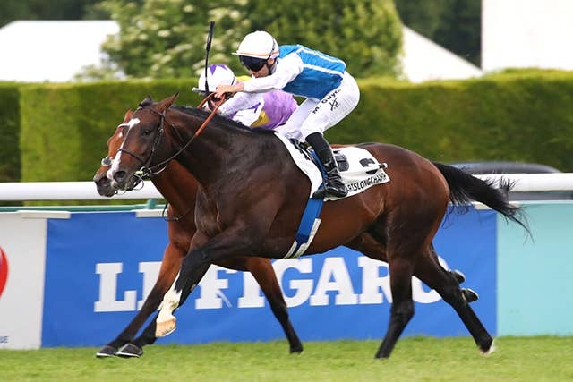 凱旋門賞】「素晴らしいレースをしてくれました」3着ソジーは現役引退