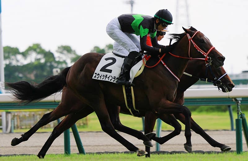 2025ブリーダーズカップ | JRA-VAN World - 海外競馬情報サイト