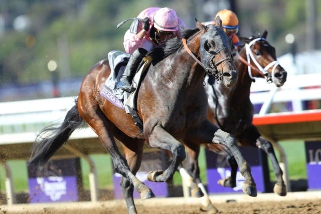 結果 | 2025ブリーダーズカップクラシック | JRA-VAN World - 海外競馬