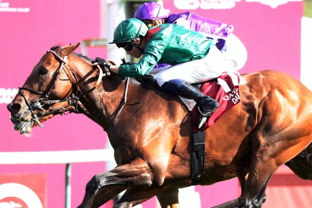 最新世界ランキング、凱旋門賞馬ダリズがフォーエバーヤングらに並ぶ2