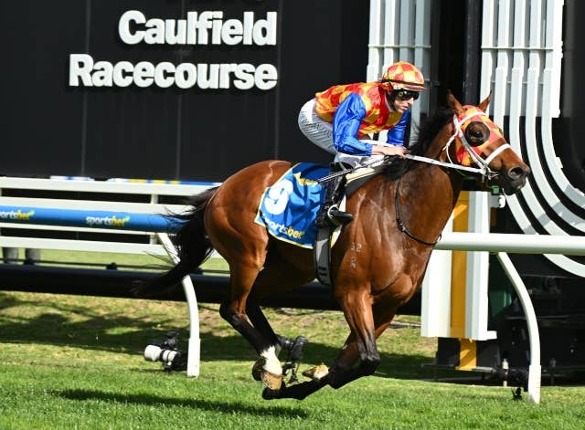 豪G1コーフィールドギニーはオータムボーイが快勝、2着にアドマイヤ