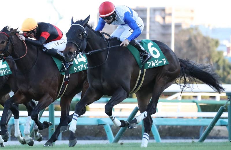 2025ブリーダーズカップ | JRA-VAN World - 海外競馬情報サイト