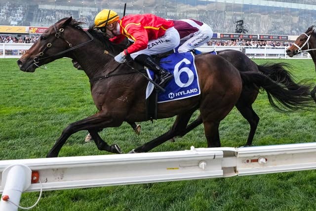 ウィンクス（Winx） | 競馬データベース | JRA-VAN World - 海外競馬