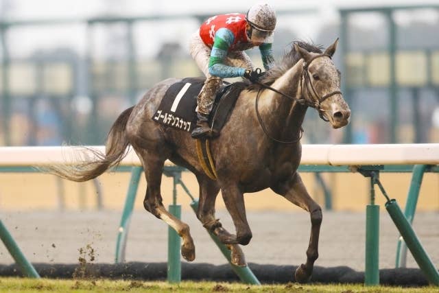 サンタの競馬　ゴールドシップ　デュラメンテ サンタの競馬 ゴールドシップ デュラメンテ サンタの競馬ゴールド