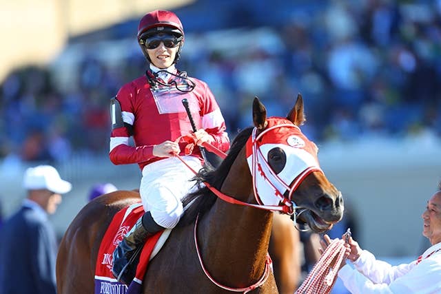 フォーエバーヤング フォーエバーヤング（Forever Young） | 競馬データベース | JRA