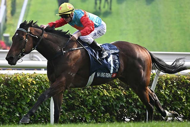 怪物すぎる」香港の「世界最強スプリンター」カーインライジングが1着