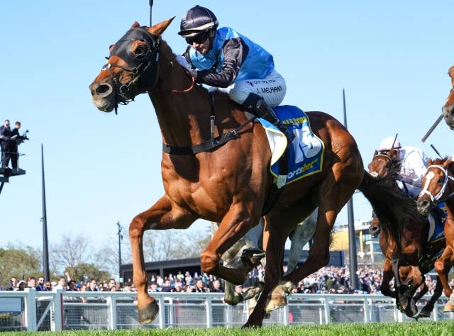 ハーフユアーズが豪G1コーフィールドCを完勝、J.メルハムは女性騎手で