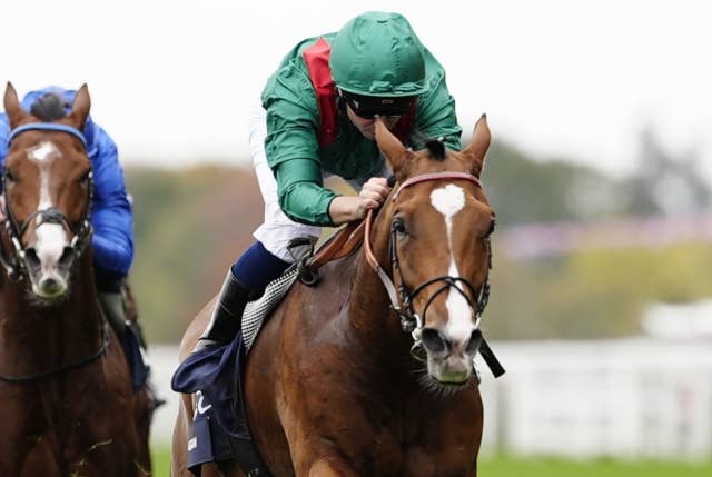 G1英チャンピオンSはカランダガンが完勝、陣営は次戦でジャパンC参戦を