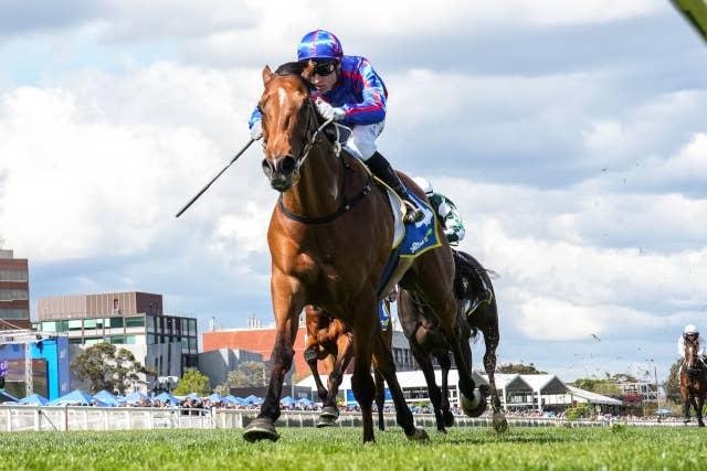 競馬ファンの方、海外レース、優勝馬 チャンピオンズカップ(G1) 2024 特集 出走予定馬・競馬予想