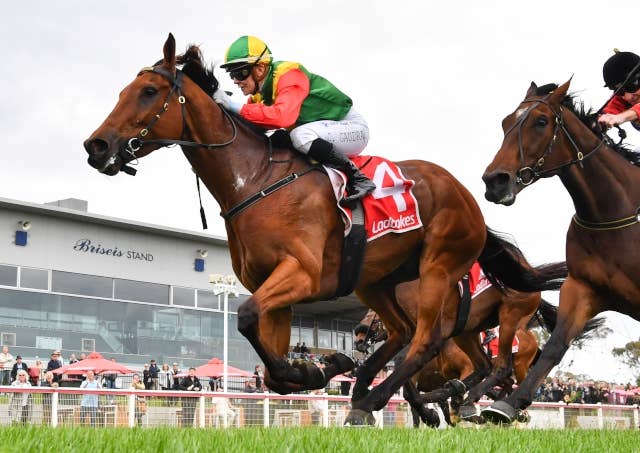 JRA-VAN World - 海外競馬情報サイト