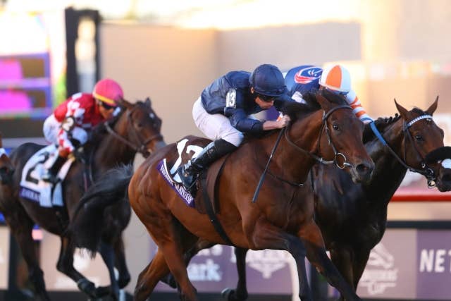 【非売品】クールモア・スタッド (海外競馬・種牡馬) 仏2000ギニー馬アンリマティスが引退、クールモアスタッドで種牡馬入り