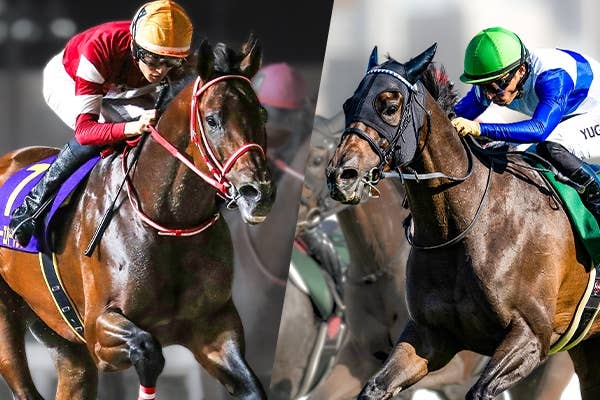 さーもん|ラブズオンリーユー ラヴズオンリーユー（Loves Only You） | 競馬データベース