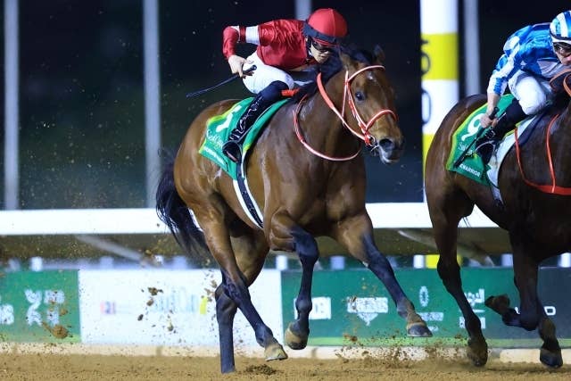 フォーエバーヤング BCクラシック2025 現地単勝馬券 レーシング