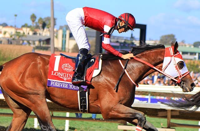 BCクラシック】主催者想定でフォーエバーヤングは3番人気