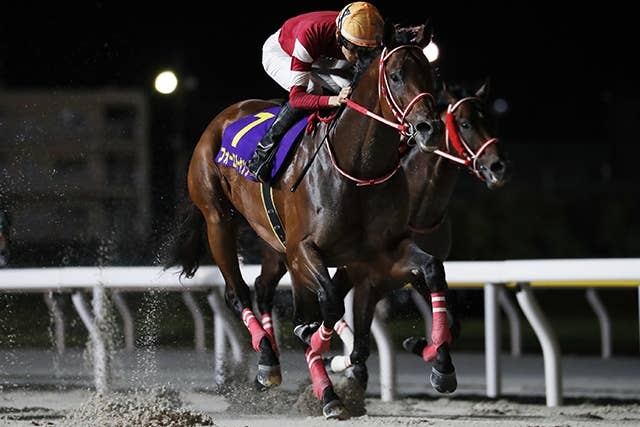 フォーエバーヤング（Forever Young） | 競馬データベース | JRA