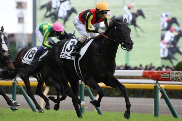 クロワデュノール 新馬戦 的中馬券(期限切れ) 69041a79-3784-4835-afc6-