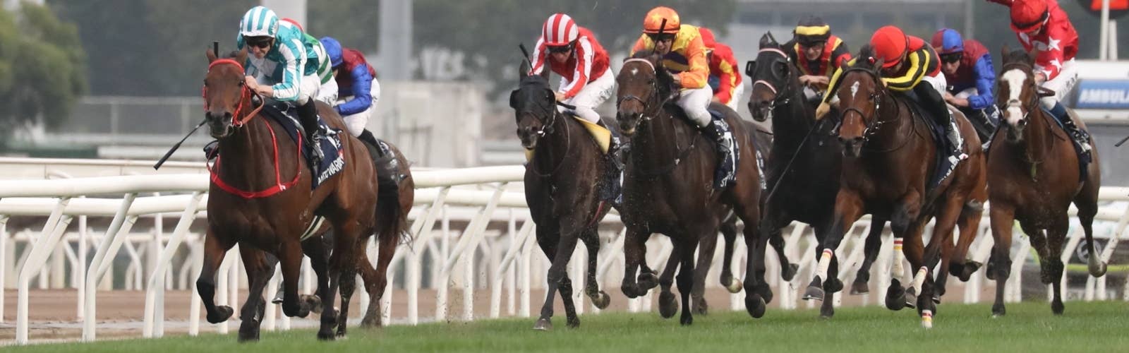 【香港国際競走】<br>最新情報はこちら
