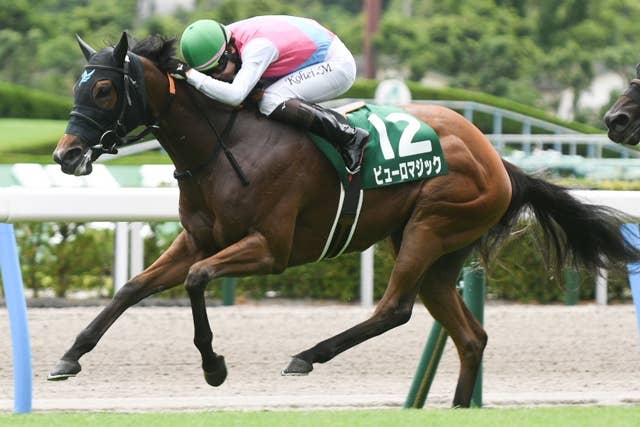 競馬 ウダ馬もり 非売品 競馬 ウダ馬もり 非売品 売り馬のご紹介 - エクイ