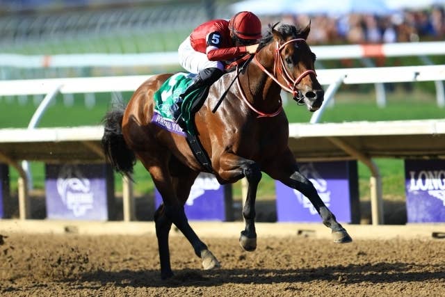 フォーエバーヤング BCクラシック2025 単勝馬券 デルマー競馬場 フォーエバーヤング BCクラシック2025 単勝＆複勝馬券 2枚 デルマー