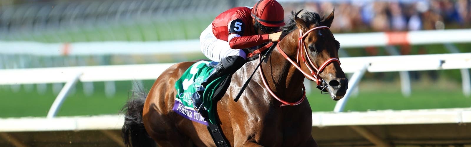 【BCクラシック】<br>フォーエバーヤングが歴史的勝利