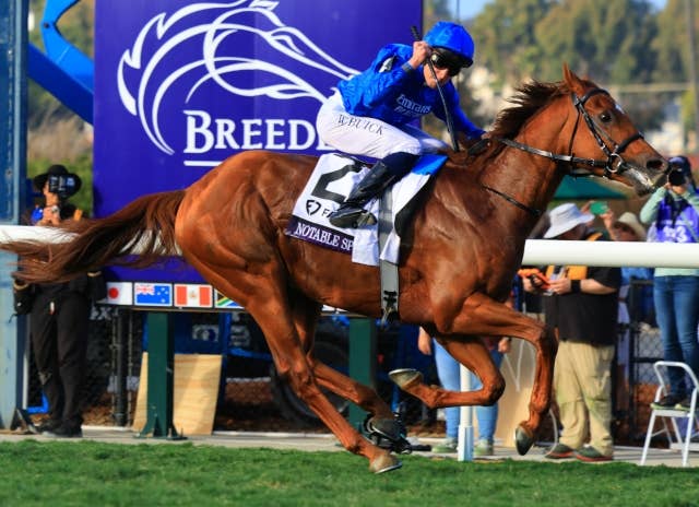 2025年 BCカップ 競馬公式プログラム パンフレット 2025ブリーダーズ